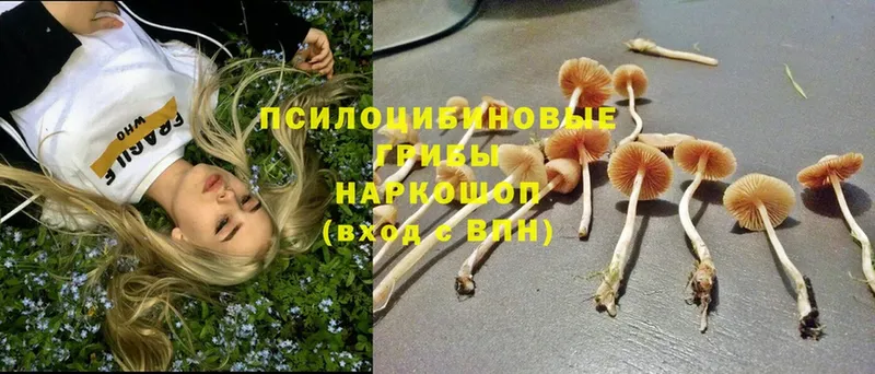 Галлюциногенные грибы Magic Shrooms  Полярный 